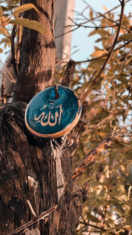 How to Choose a Notebook You’ll Actually Use Every Day